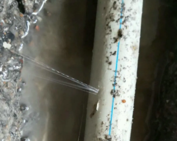 柏乡卫生间测漏水多少钱
